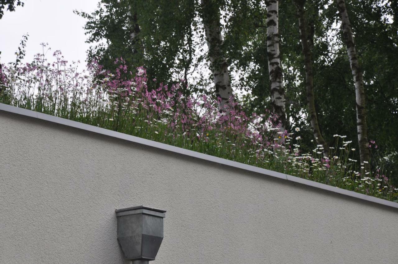Idylla Apartamenty Polanki 科沃布热格 外观 照片